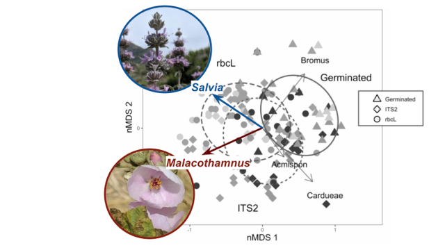 nmds of plant communities detected with three methods