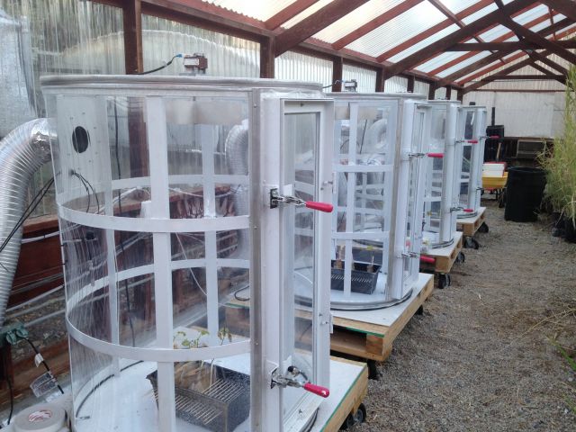 Continuous-stirred tank reactor chambers at the greenhouse