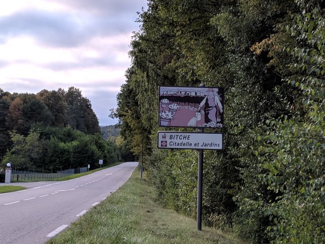 Bitche, France, origin of Lophodermium's namesake