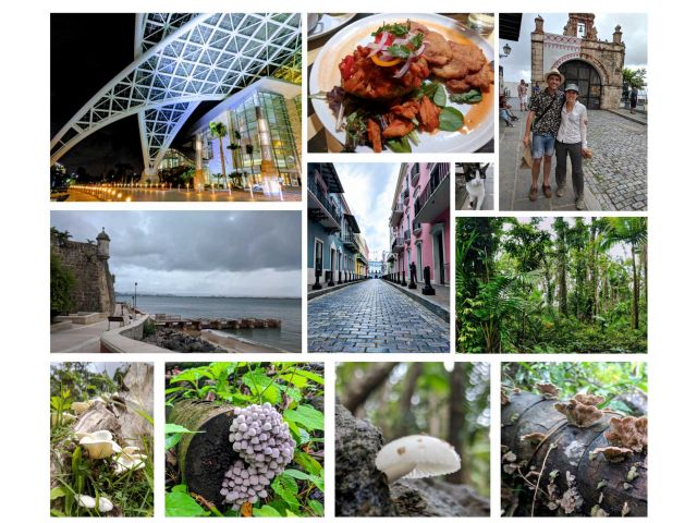 IMC 11 San Juan, Puerto Rico