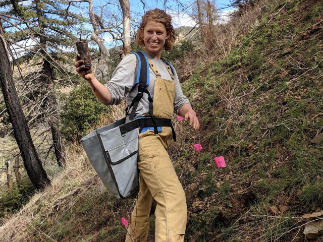 Plant BCDF Spring 2019