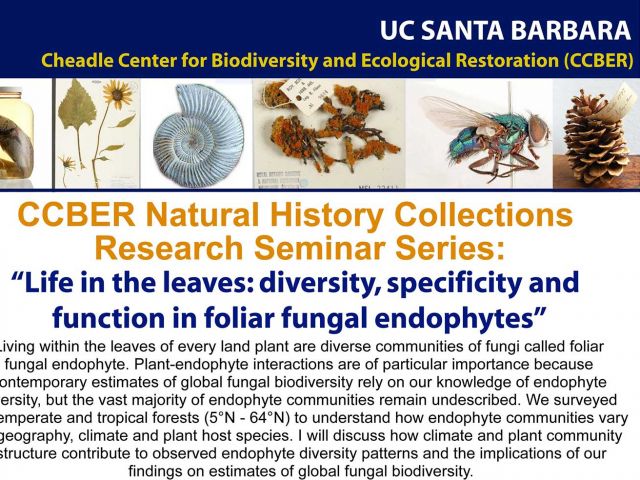 Presentation at CCBER by Austen