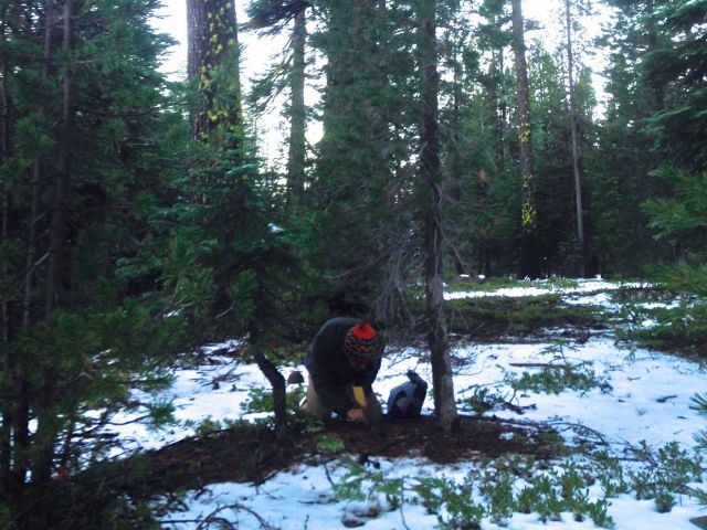 Rodolfo sampling in the snow
