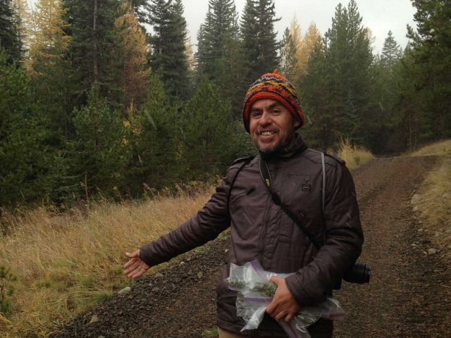 Snowing on Wallowa-Whitman National Forest