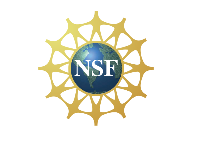 nsf fellowships