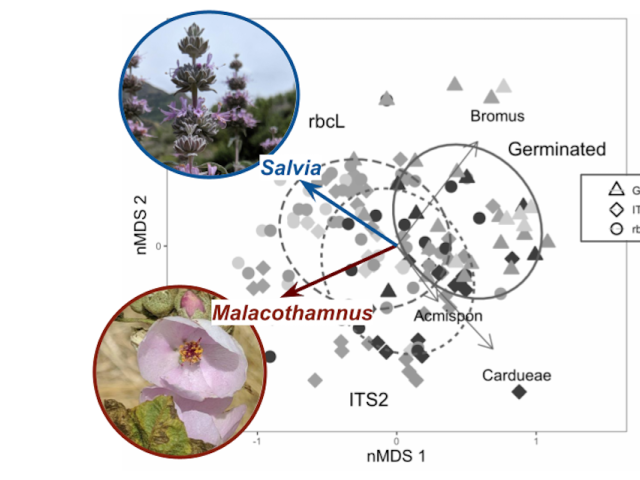 nmds of plant communities detected with three methods